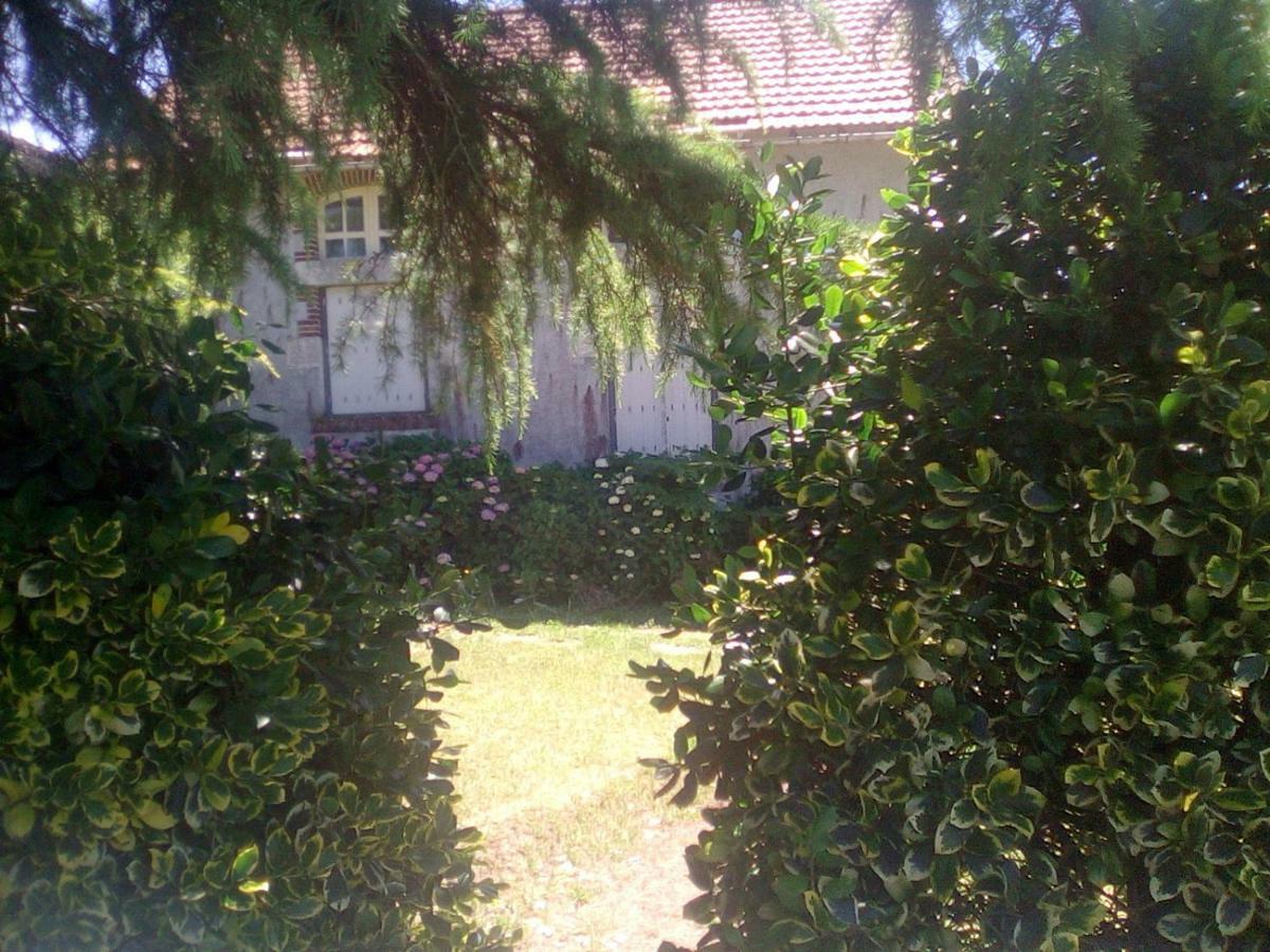 Le Gîte de Réaumur Extérieur photo